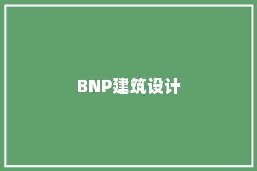 BNP建筑设计 施工管理