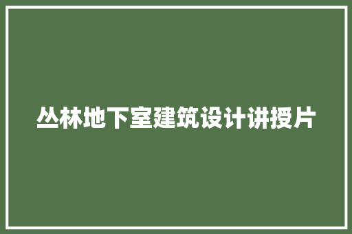 丛林地下室建筑设计讲授片 施工技术