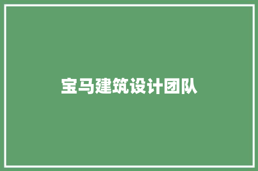 宝马建筑设计团队