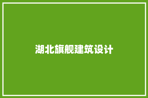 湖北旗舰建筑设计