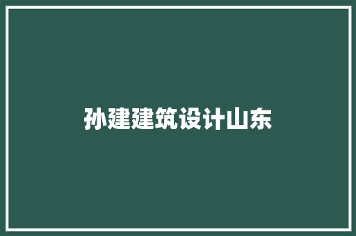 孙建建筑设计山东 材料设备