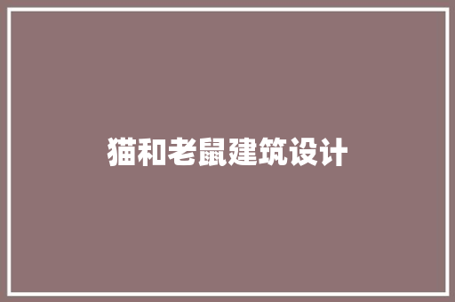 猫和老鼠建筑设计 住宅建筑设计
