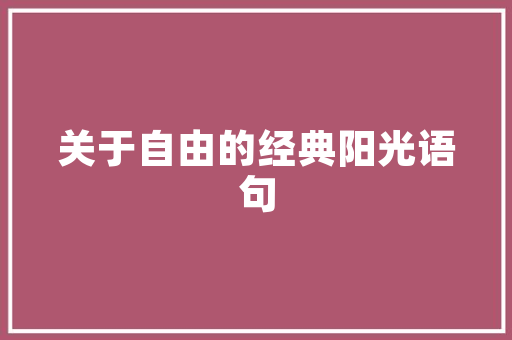 玉兔礼盒建筑设计
