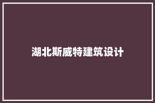 湖北斯威特建筑设计 施工管理