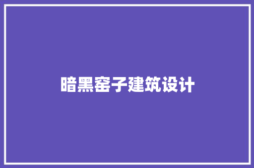 暗黑窑子建筑设计 施工管理