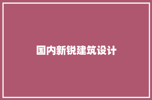 国内新锐建筑设计 施工工艺