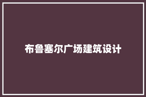 布鲁塞尔广场建筑设计