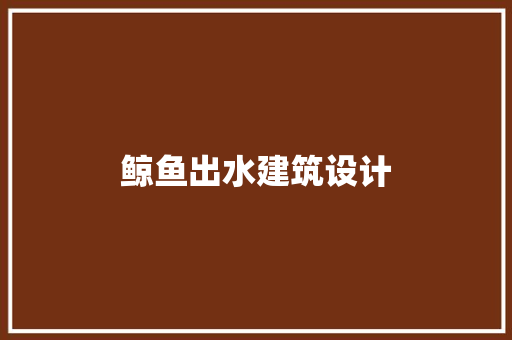 鲸鱼出水建筑设计 常用设备