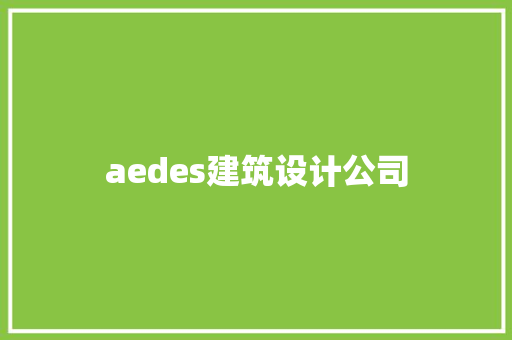 aedes建筑设计公司 施工管理