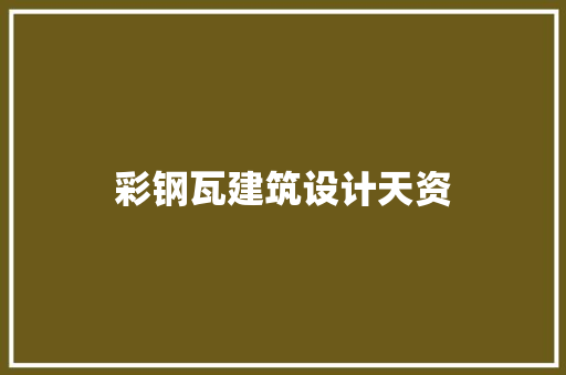 彩钢瓦建筑设计天资 施工工艺