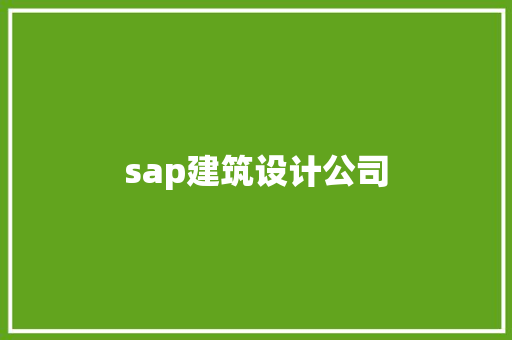 sap建筑设计公司 施工管理