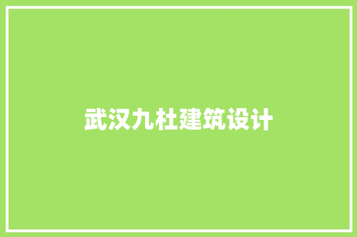 武汉九杜建筑设计 施工技术