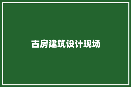 古房建筑设计现场 施工管理