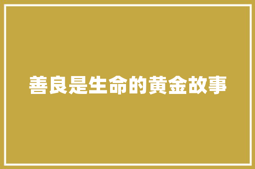 艺仓建筑设计案例 设计原则