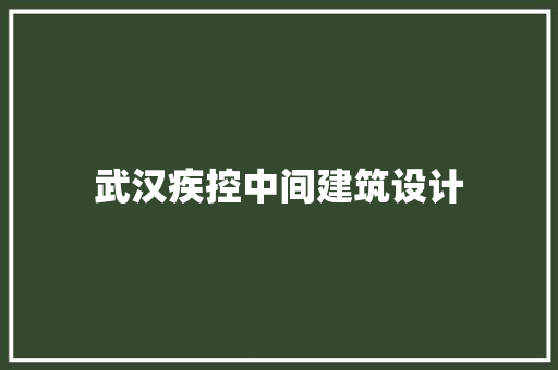 武汉疾控中间建筑设计