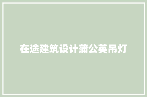 在途建筑设计蒲公英吊灯 知识问答