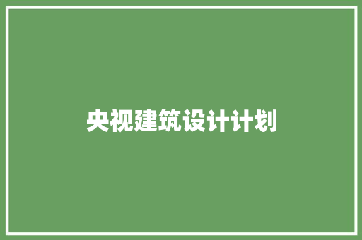 央视建筑设计计划 设计原则