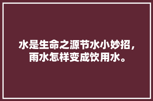 鸟巢建筑设计特点