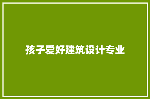 孩子爱好建筑设计专业 住宅建筑设计