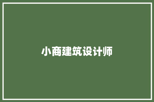 小商建筑设计师 施工技术