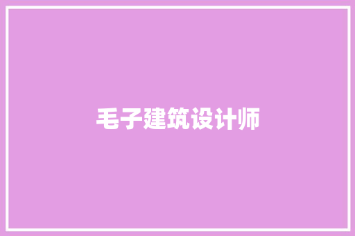 毛子建筑设计师