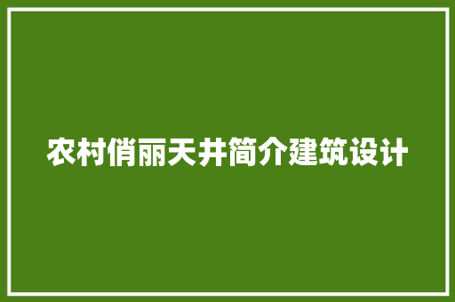 农村俏丽天井简介建筑设计 新型材料 农村俏丽天井简介建筑设计 新型材料