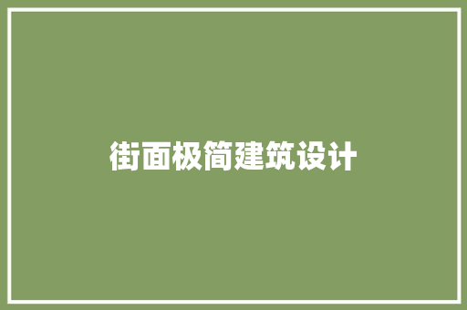 街面极简建筑设计 施工管理