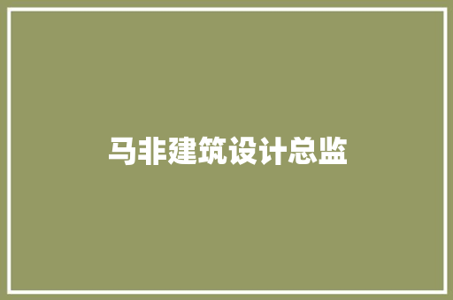 马非建筑设计总监 工艺流程