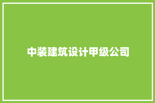 中装建筑设计甲级公司 施工管理