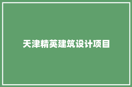 天津精英建筑设计项目 施工技术