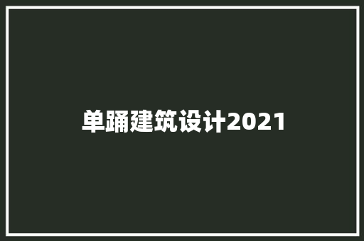 单踊建筑设计2021 新型材料