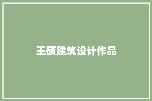 王硕建筑设计作品 材料设备