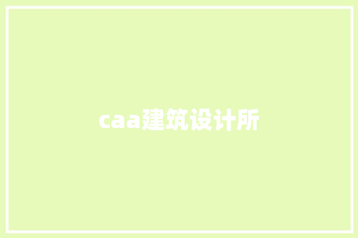 caa建筑设计所 施工工艺