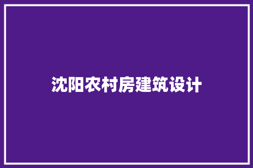 沈阳农村房建筑设计