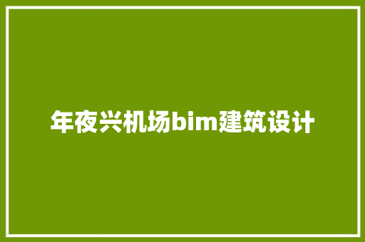 年夜兴机场bim建筑设计