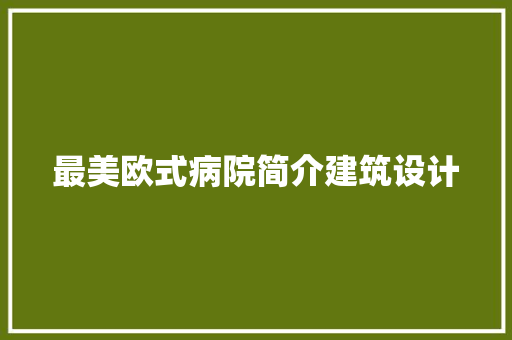 最美欧式病院简介建筑设计
