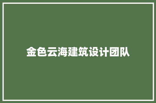 金色云海建筑设计团队 施工管理