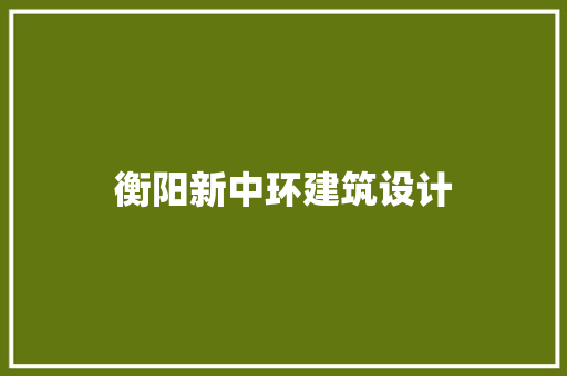 衡阳新中环建筑设计
