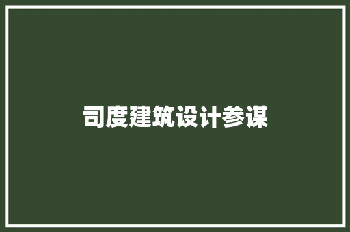 司度建筑设计参谋 施工管理
