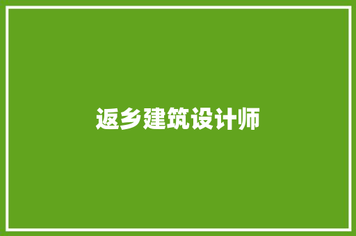返乡建筑设计师 新型材料