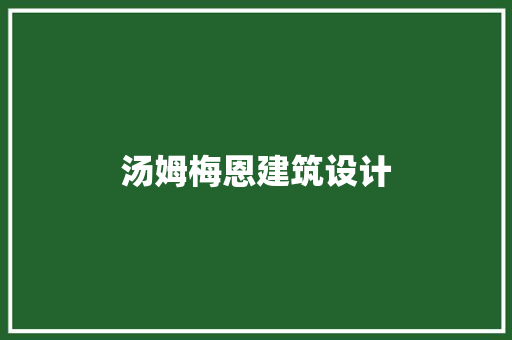 汤姆梅恩建筑设计 材料设备
