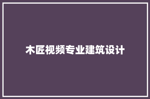 木匠视频专业建筑设计 施工技术