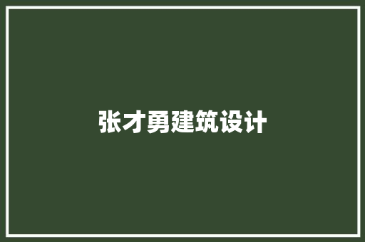张才勇建筑设计