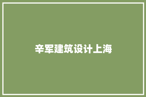 辛军建筑设计上海 公共建筑设计