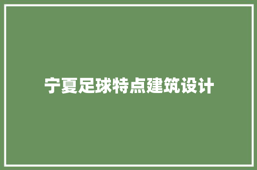 宁夏足球特点建筑设计