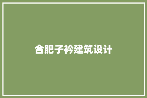 合肥子衿建筑设计 施工技术