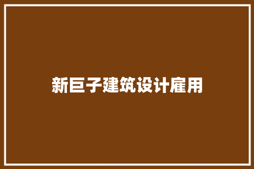 新巨子建筑设计雇用 工艺流程