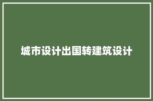 城市设计出国转建筑设计 施工管理