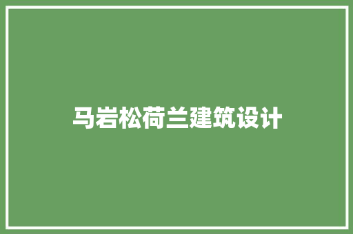 马岩松荷兰建筑设计