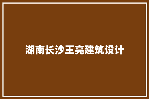 湖南长沙王亮建筑设计
